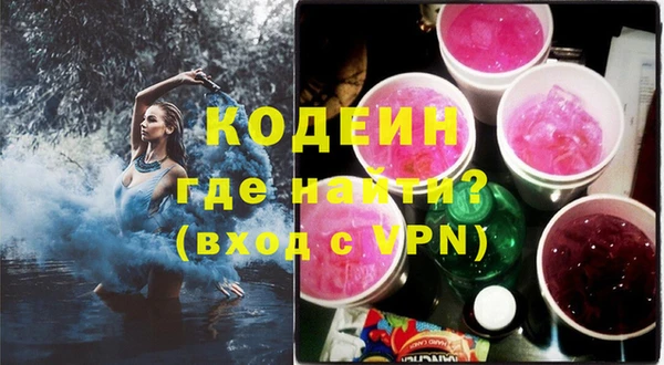 молекула духа Арсеньев