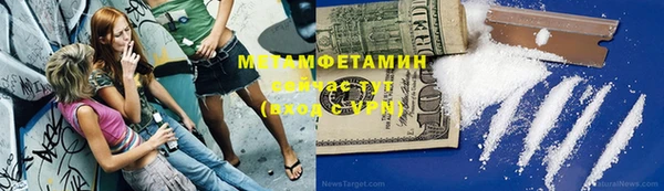 индика Струнино